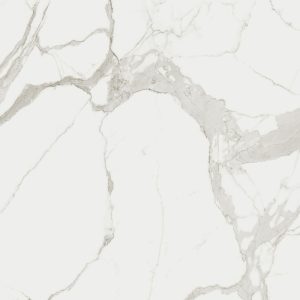 Marble Statua.A Glossy Stu